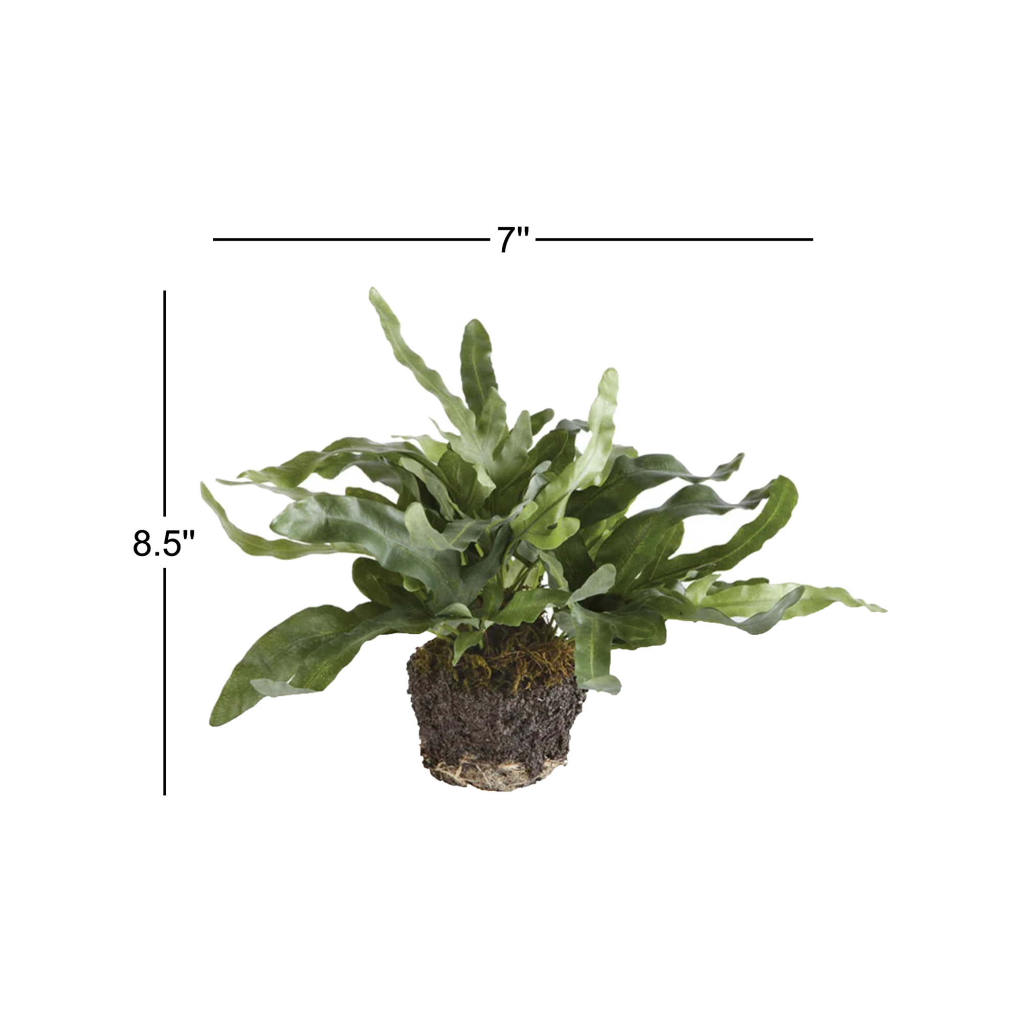 Georgia Echeveria Fern Drop-In Faux Plant, Small