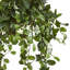 Plante stephanotis artificielle en panier 38"