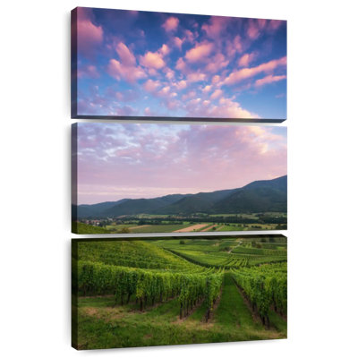 Alvord Vaste vignoble d'Alsace