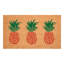Paillasson Southern Pineapple Trio-1198529246