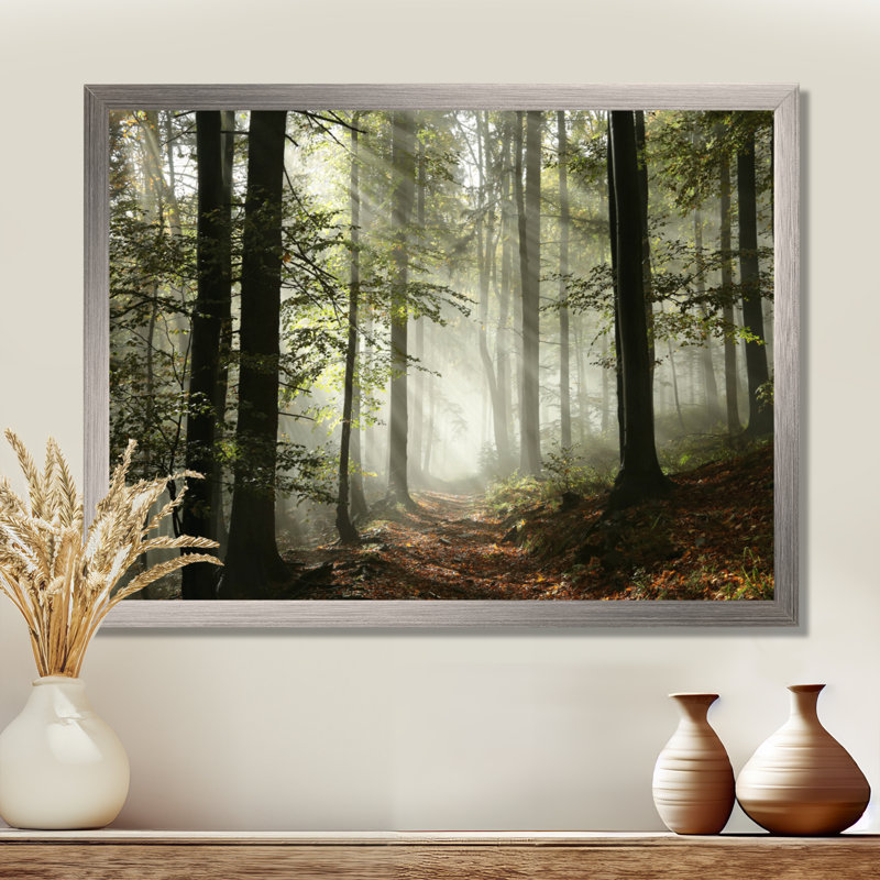 Forest Canvas Wall Art - Forg Light in The Forest Print, Silver, Framed Print, 24" H x 32" W