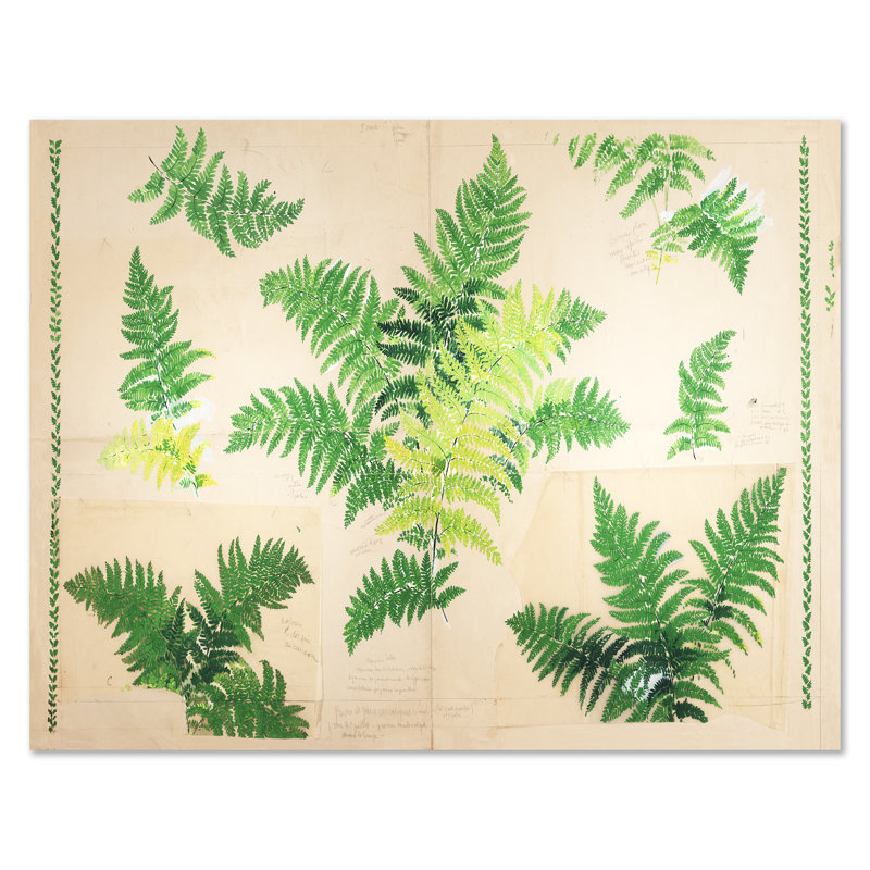 Large Green Fern Botanical Print on Archival Giclee Paper