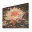 Coussins de lis rose lueur rose - lis sur bois-172115627