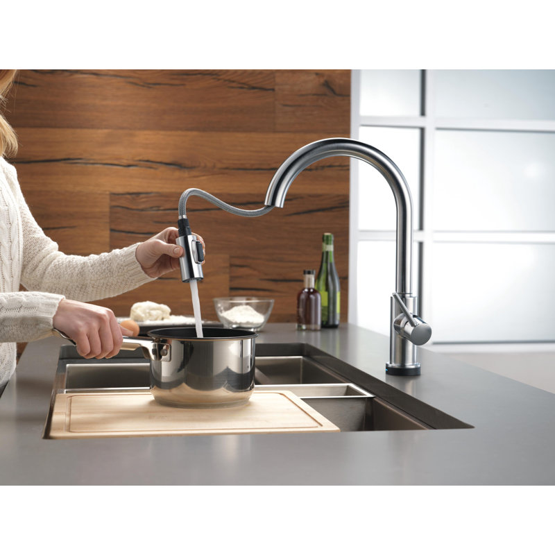 Robinet d'évier de cuisine à commande tactile et à commande vocale avec pulvérisateur rétractable Trinsic, Acier arctique