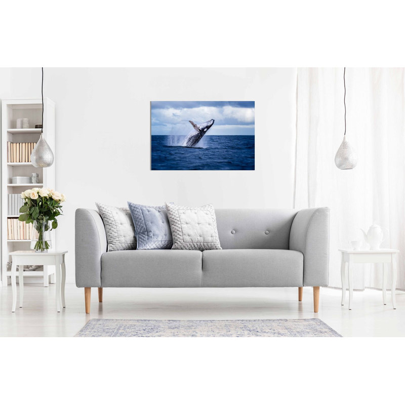 Humpback Whale Jumping Out Water - Wrapped Canvas Print, 31cm H x 46cm W