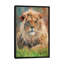 « lion front », impression sur toile-72415995-72415993-72415994