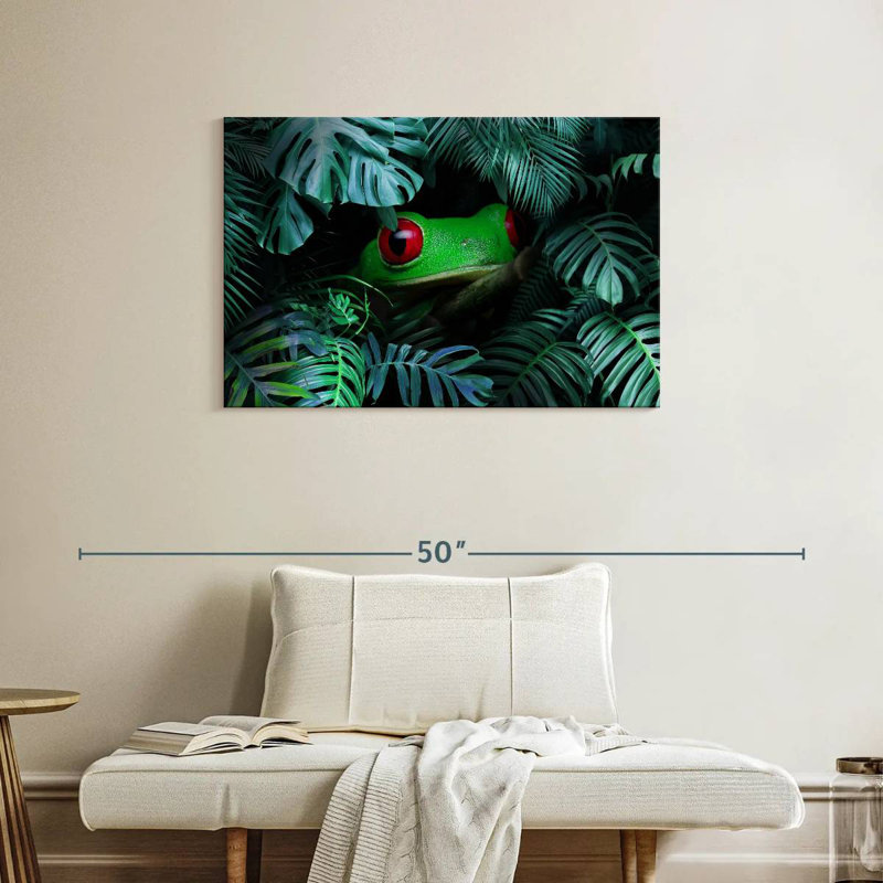 Rainette tropicale Brampt
