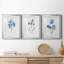 «Blue Blossom Botanical I», ensemble de 3 reproductions de cadres photo-566303040-566303042