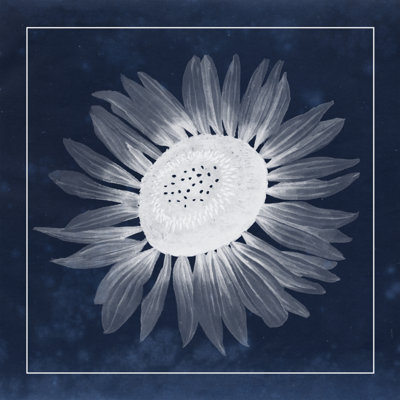 Moon Flower II by Grace Popp - Wrapped Canvas Painting