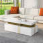 Chalsea Coffee Table with Storage-621032613