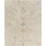 Oriental Hand-Knotted Recycled P.E.T Area Rug in Light Brown/Blue