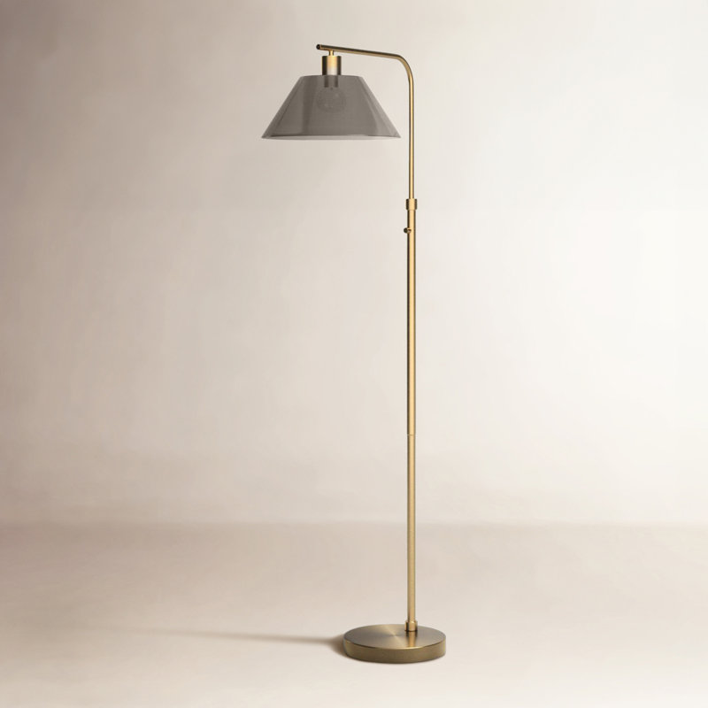 Delucia 57.5" Task/Reading Floor Lamp