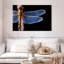 Ailes de libellule bleues Brampt-108127657