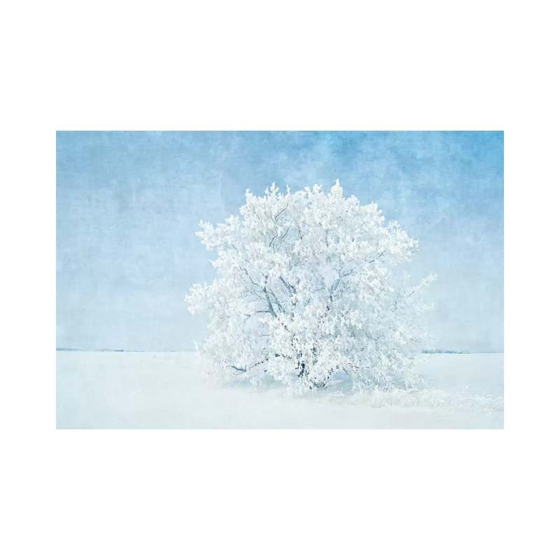 Canada, Manitoba. Snow-Covered Tree by Jaynes Gallery - Wrapped Canvas Print, 45.72cm H x 66.04cm W x 1.905cm D