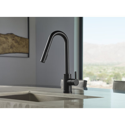 Amalfi Pull Down Single Handle Kitchen Faucet