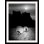 «Straub Games In a Bubble» par Juan Luis Duran, reproduction de photo