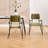Modern Upholstered Dining Chairs With Backrest And Armrest, With Metal Frame, For Dining Room/Living Room-2029909932