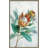 " Tropical Protea "-2078685696-2078685697