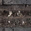 Stackstone 8x24 Textured 3D Brick Lava Stone Mosaic Tile