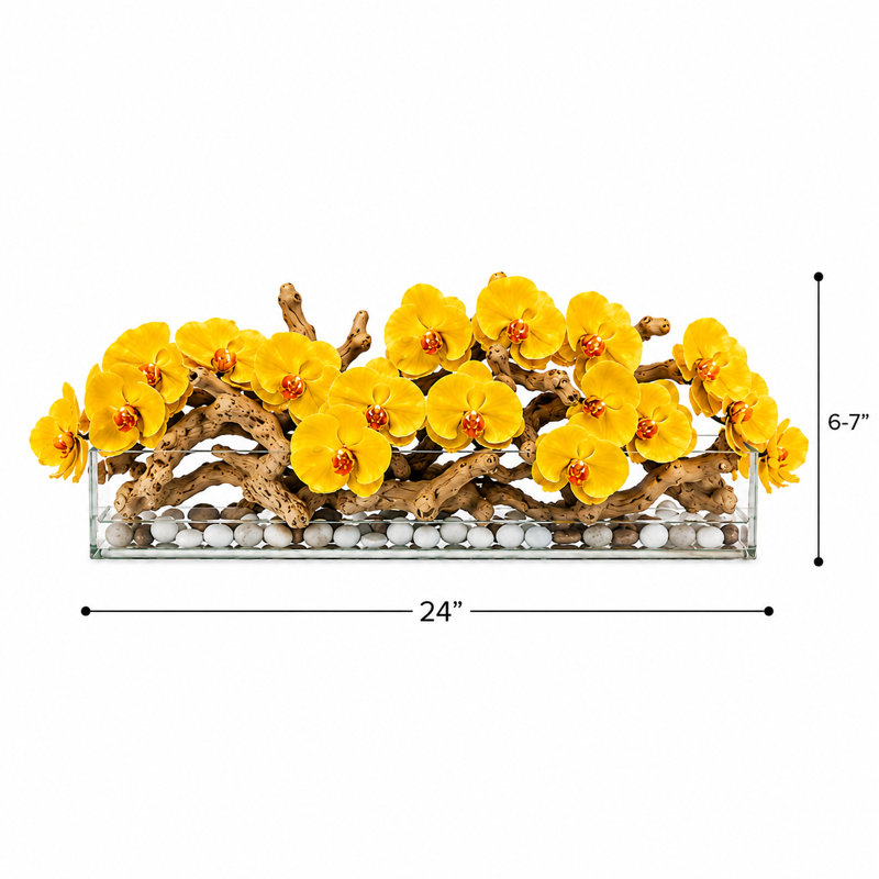 Arrangements floraux d'orchidées en pot, Yellow, H 12 po x l 24 po x P 6 po