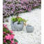 Pot à fleurs en ciment Joynae