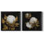 Cotton Balls I - Cadre photo-1492861058-1492861059-1492861060