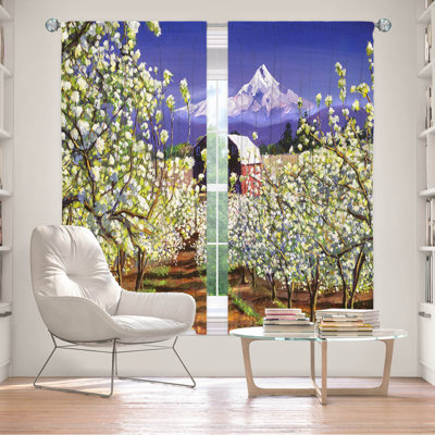 Room Darkening Curtain Pair