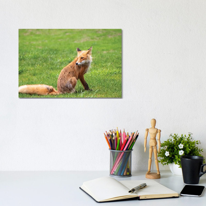 Red Foxon Grass by George Theodore - Wrapped Canvas Print, 20.32 cm H x 30.48 cm W