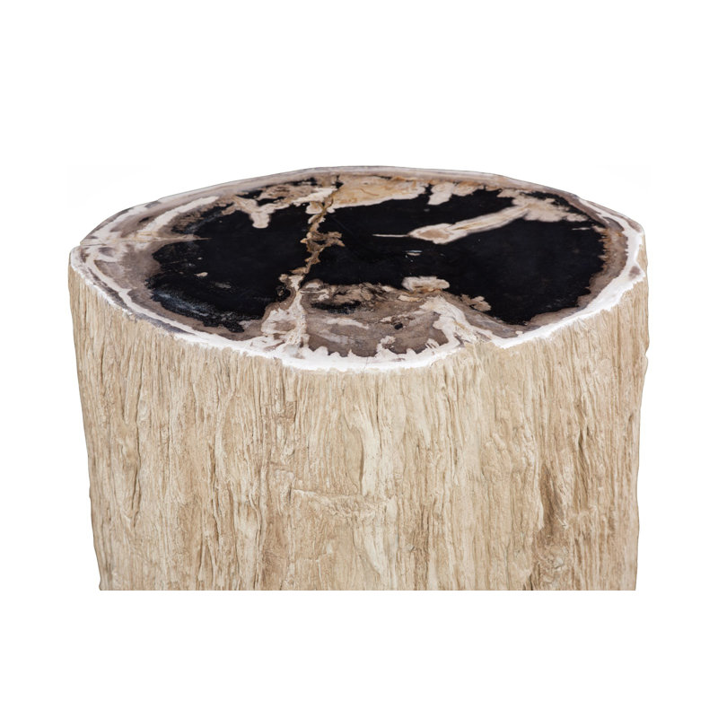 Chaka Petrified Stool, Rough, Cream