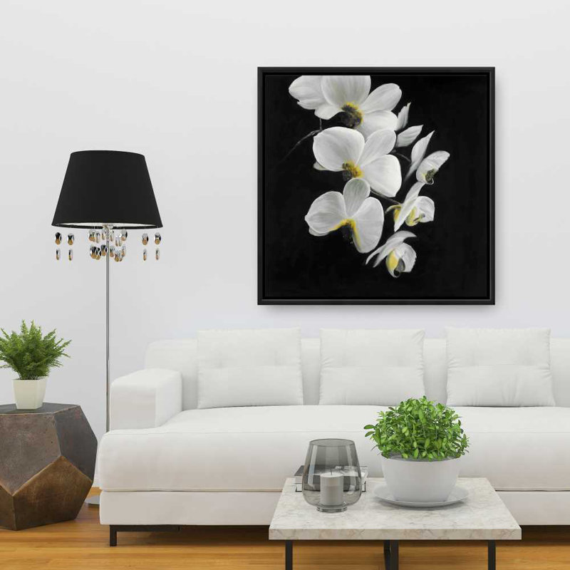 Beautiful Orchids - Flowers, H 37,25 po x l 37,25 po