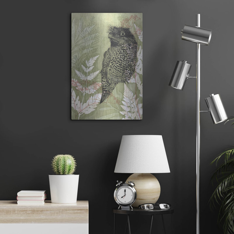 «Tawny Frog Mouth» par trudy riz, H 24 po x l 16 po