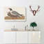 Black-Headed Gull by John James Audubon - Wrapped Canvas-55370577