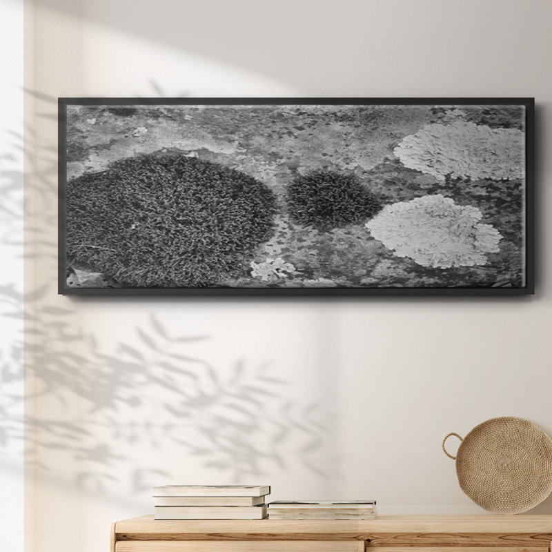 Found Textures XIX- Framed Canvas, 20" H x 50" W