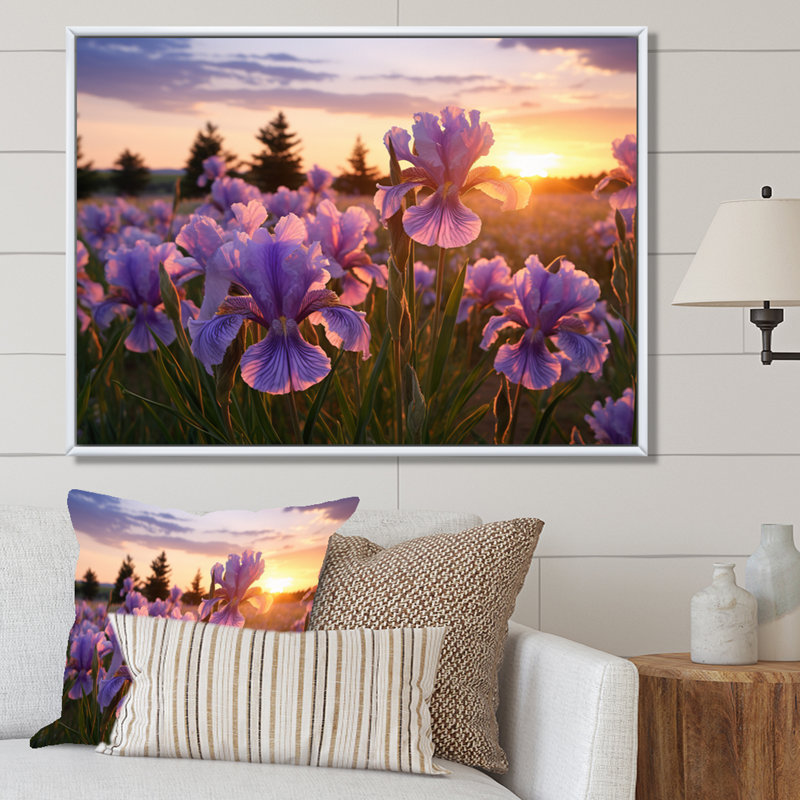 Champ d'iris mauve avec coucher de soleil II, Cadre flottant blanc, H 12 po x l 20 po x P 1 po
