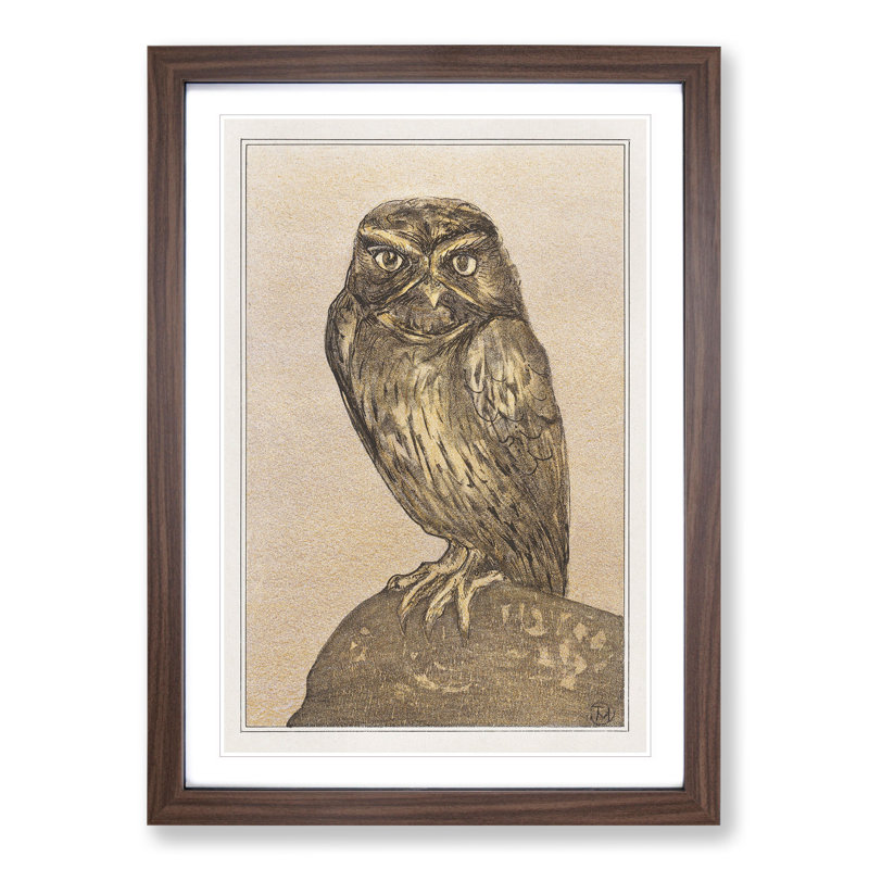 Little Owl by Theo Van Hoytema - Picture Frame Painting, Walnut Framed, 65cm H x 48cm W x 2cm D
