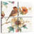 Brampt Spiced Nature II Soft White