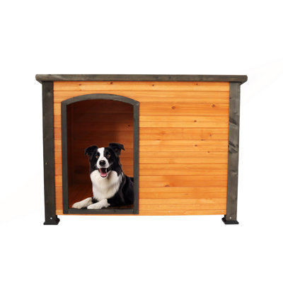 Niche pour chien avec pieds surélevés