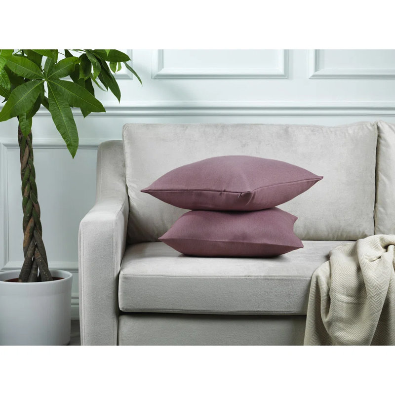 Housses de coussin décoratives décoratives - paquet de 2, 20 po x 20 po, Vison