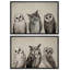 Oiseaux, animaux, hiboux, animal, 2 pièces-100135985-100135989