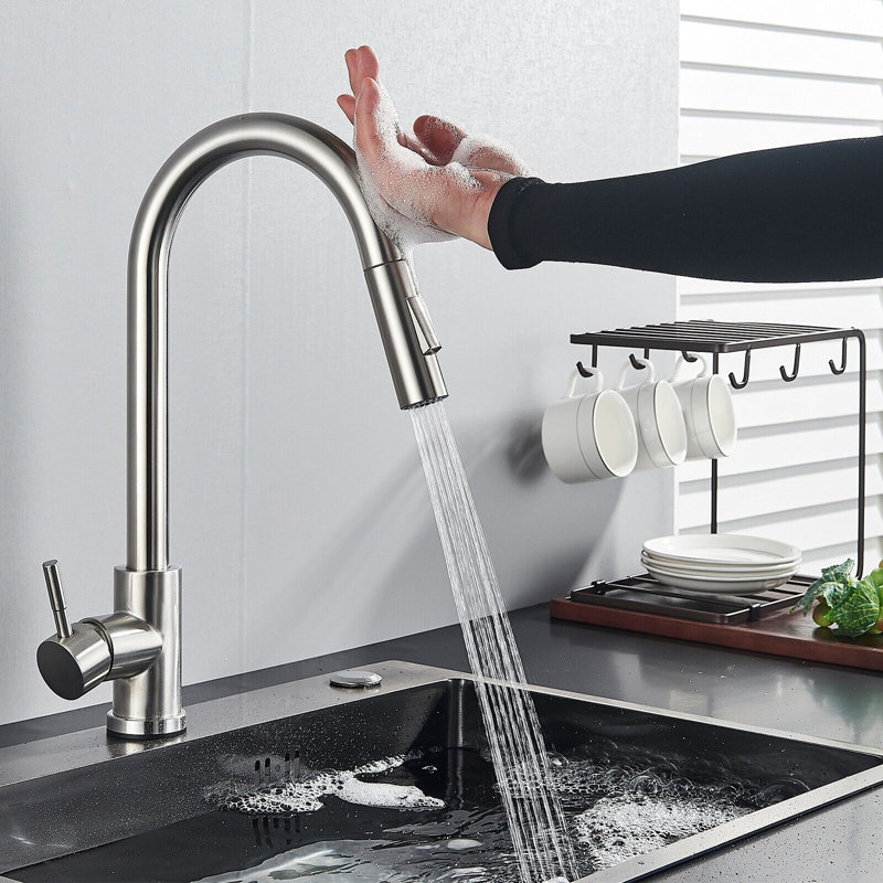 Belfry Kitchen Brambory Touch Kitchen Faucet with Side Spray