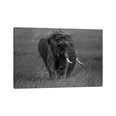 Graphite 1 Piece Wrapped Canvas Wall Art