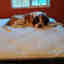 Customer photo 2 of 4