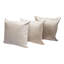 Square Pillow Cover & Insert-551281568