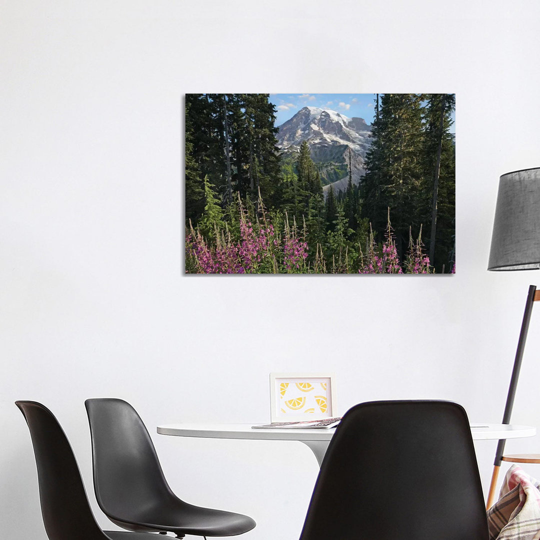 Fireweed Flowering And Mount Rainier, Mount Rainier National Park, Washington von Tim Fitzharris - Gallery-Wrapped Canva...