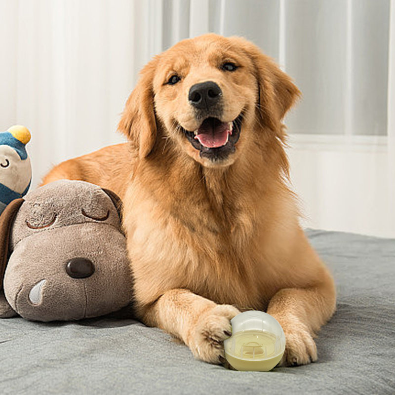 Distributeur de friandises pour chien, Jaune