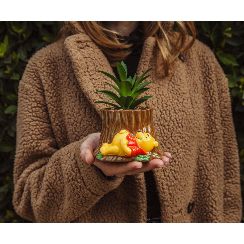 6'' Faux Succulent Tree in Vase