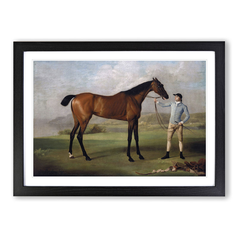 Molly Long Legs by George Stubbs - Picture Frame Painting, 36cm H x 48cm W x 2cm D, Black