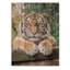 Portrait de tigre - art mural moderne sur bois de pin naturel-1514314745