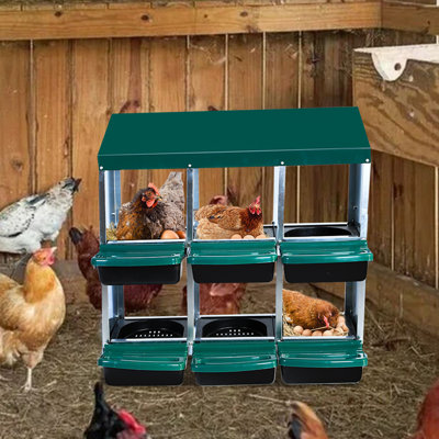 Boîte à nid à œufs en acier galvanisé à 6 compartiments, plateau de nidification amovible pour poule de nidification