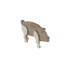 Sculpture de cochon en bois Crisfield-1514413747